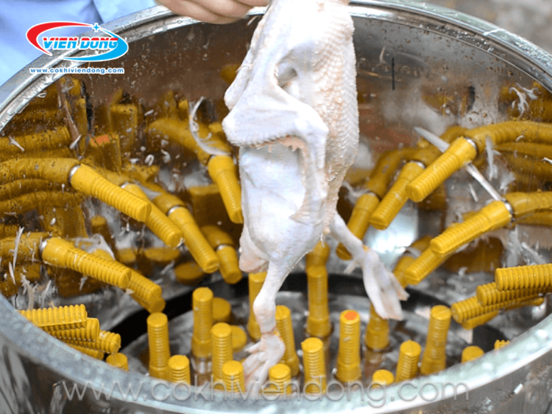 máy đánh lông gà vịt