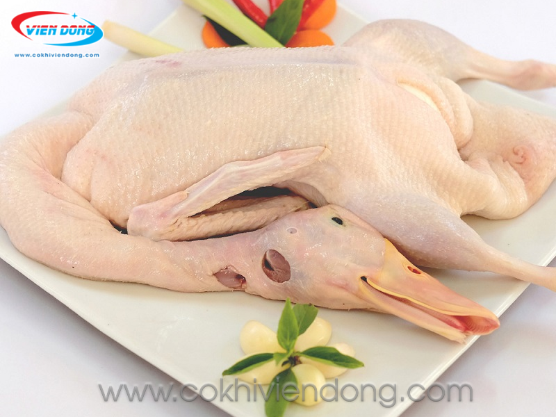 máy vặt lông vịt