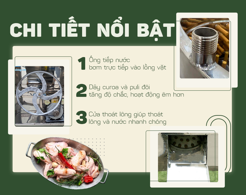 máy vặt lông vịt